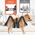 thumbnail image 3 of Hamaca para Aseo de Mascotas Ownpets Transpirable para Perros y Gatos, 3 of 9