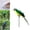 Green, variant on JJYY 1PC/2Pcs Faux Feathered Parrot Bird Statue Decoration – Modern Home and Garden Ornament – Realistic Zoo-Inspired Decor Available in 25cm/35cm Sizes