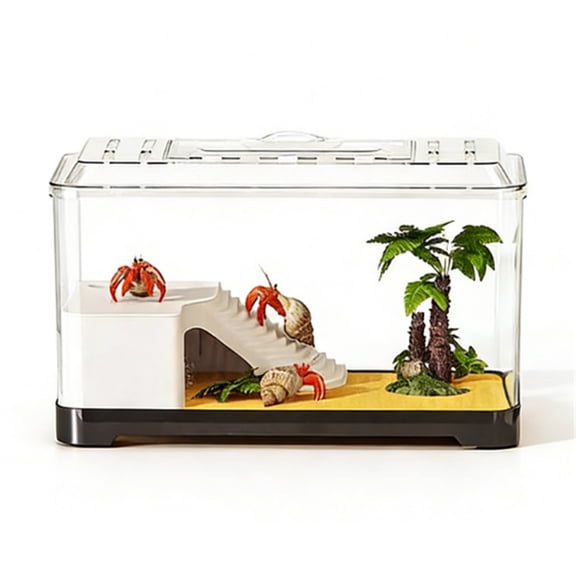 Transparent Turtle Viewing Tank Desktop Aquarium for Feeding and Observation