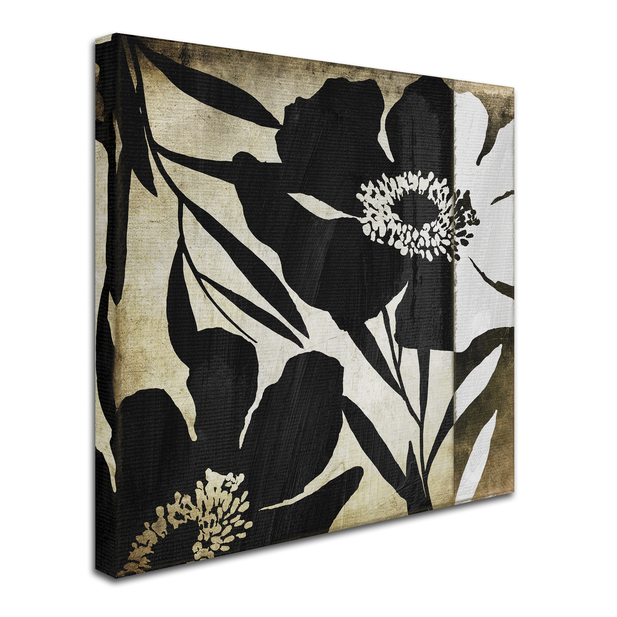 Trademark Fine Art "Floral Jungle Lines II" Canvas Art by Color Bakery