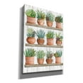 thumbnail image 2 of Epic Graffiti 'Succulents on Shelves' by Cindy Jacobs, Canvas Wall Art, 40"x54", 2 of 2