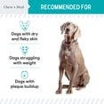 thumbnail image 4 of Suplemento de algas marinas Chew + Heal Labs para perros 473 ml con cuchara, 4 of 8