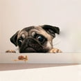 thumbnail image 2 of 2X Funny Cute Pet Pug Dog Snail 3D Car Window Decals Home Wall Sticker Decoration, 2 of 8