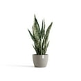 thumbnail image 4 of Ecopots Stockholm Durable Modern Round Indoor/Outdoor Recycled Based Composite Flower Pot Planter, Taupe, 9.5", 4 of 4