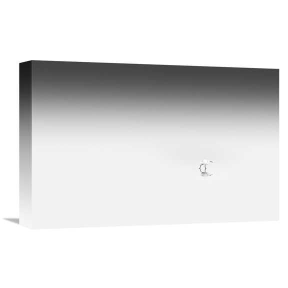 Global Gallery Pietro Bevilacqua 'Going To TheRights' Canvas Wall Art