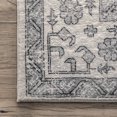 thumbnail image 3 of nuLOOM Parisa Vintage Medallion Bordered Area Rug, 6' x 9', Parisa Grey, 3 of 6