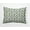 Pale Green, variant on 16" x 16" Simply Daisy Three Veggies Pattern Polyester Accent Pillow, Pale Green Qty 1