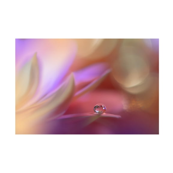 Canvas Wall Art - Juliana Nan 'Soft Floral' Wall Art for Living Room, Bedroom, or Office D?cor by Trademark Fine Art - 19 x 12 Inches
