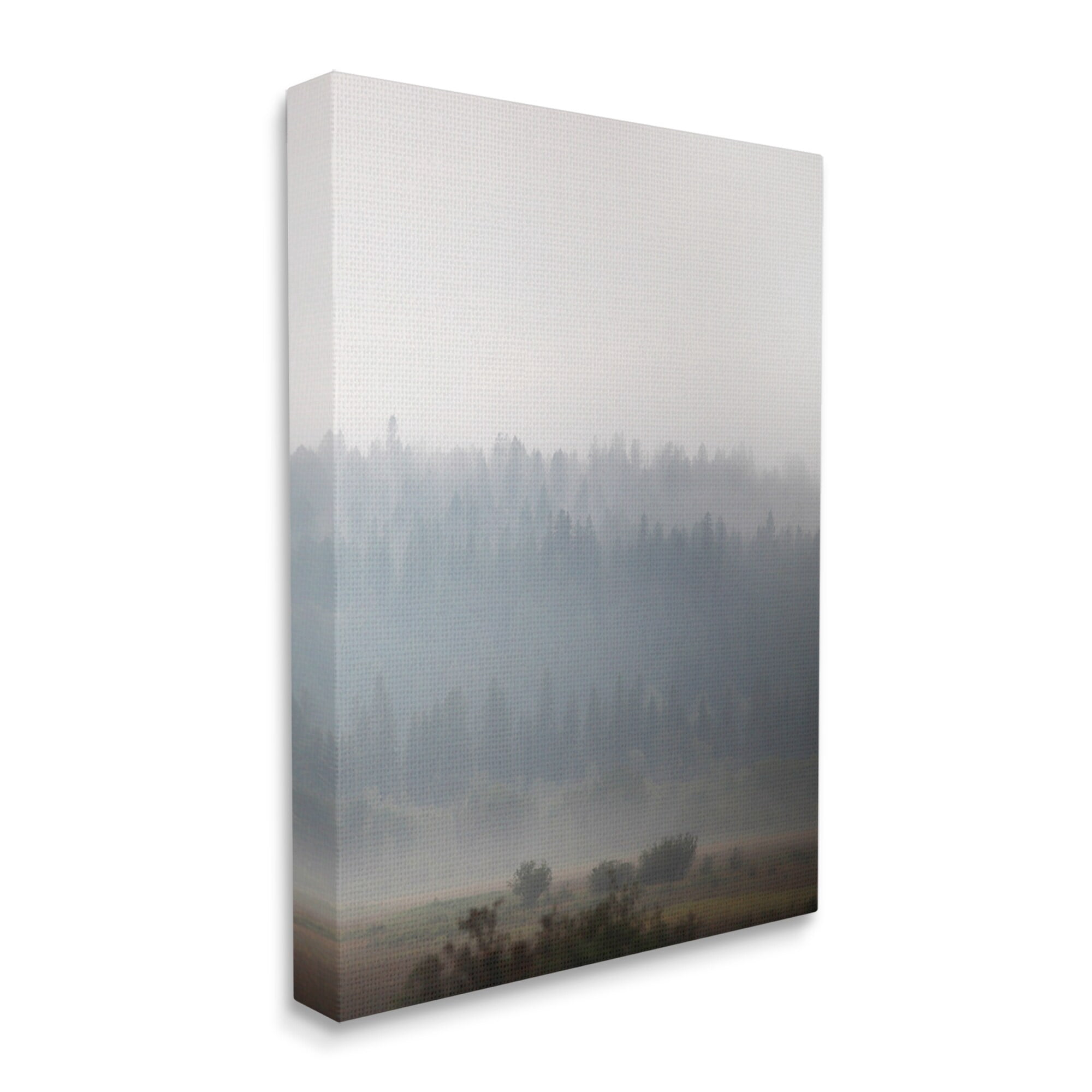 Stupell Industries Peaceful Fog Rural Landscape Woodlands Trees Clouds Canvas Wall Art, 36 x 48, Design by Carol Robinson