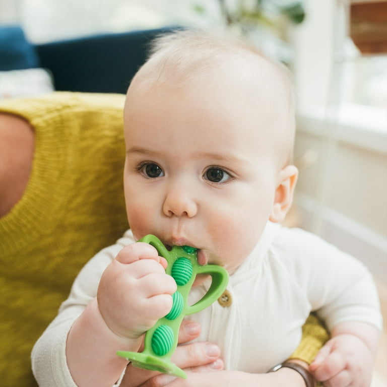 Dr. Brown s Peapod Teether and Training Toothbrush BPA Free 100