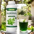 thumbnail image 4 of Vida Herbal - Liquid Chlorophyll 1 Lt Herbal Supplement - Natural Energy Boost and Internal Deodorant, 4 of 6