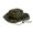 Camouflage 10, variant on ZHENHONG Bucket Hats for Women and Men Summer Outdoor Mountaineering Wide Brim Sun Hat Casual Headwear Camouflage 1