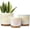 White, variant on Gepege White Indoor Plant Pots for Plants, Large Ceramic Planter with Drainage Hole, 9.6-inch Succulent Orchid Flower Pot - Rainbow Pearl Glaze