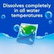 thumbnail image 4 of Detergente para ropa Pacs All Fresh Clean Oxi, eliminador de olores, 60 unidades, 4 of 5