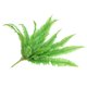 thumbnail image 5 of AURARMLET Planta Colgante Artificial De Helecho Verde Para Interior Y Sesiones Fotográficas, 5 of 8