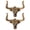 cow hook, variant on HonorHut 1 Piece Wall Mount Storage Hooks Bull Head Indoor Wall Hook with Longhorn Backpack Hooks for Wall Decorative Key Hanger with 2 Screws