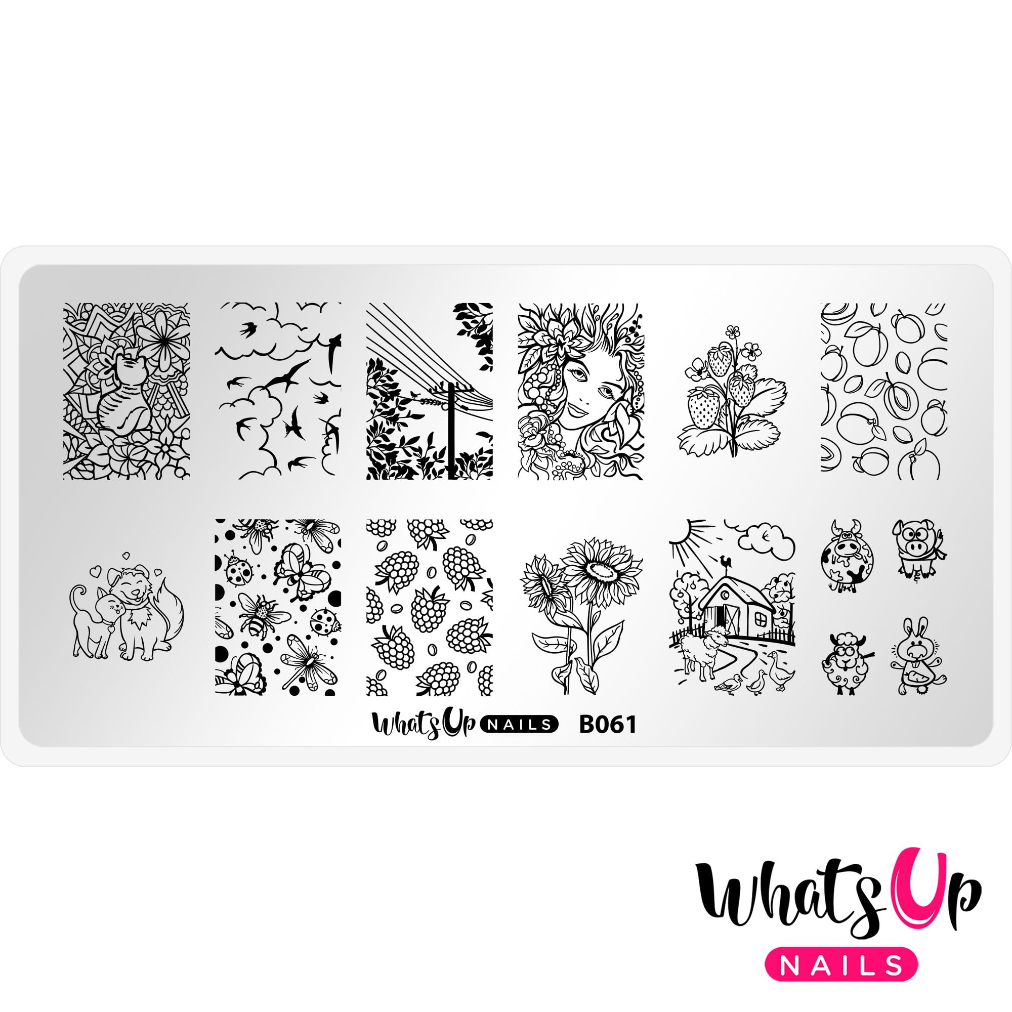 Whats Up Nails - B061 Summer in the Countryside Stamping Plate Nail Art  Design - Walmart.com