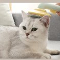 thumbnail image 4 of Dnzceghtig Peine de silicona para mascotas, cómodo masaje, autolimpieza, cepillo de aseo para mascotas con mango para mascotas, 4 of 4