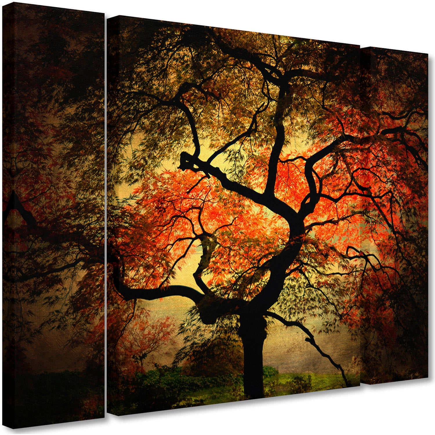 Trademark Fine Art "Japanese" Canvas Art by Philippe Sainte-Laudy Three Panel Set