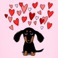 thumbnail image 3 of CafePress - Cute Dachshund Kids Light T Shirt - Light T-Shirt Kids XS-XL, 3 of 4