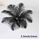 thumbnail image 5 of 10 Piezas de Soledad para Decoración de Ropa Sombrero Disfraz Negro 5.5 Pulgadas, 5 of 10