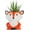 Fox, variant on Cute Animal Ceramics Planter Small Succulent Pot, Small Cartoon Animal Plant Pot for Mini Plants Flower Cactus, Smooth Shiny Ceramic - Plants Not Included