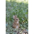 thumbnail image 2 of HI-LINE GIFT Small Standing Rabbit Garden Statue, 2 of 2