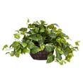 thumbnail image 2 of Nearly Natural 6681 Pothos with Vase Decorative Silk Plant, Green, 2 of 2