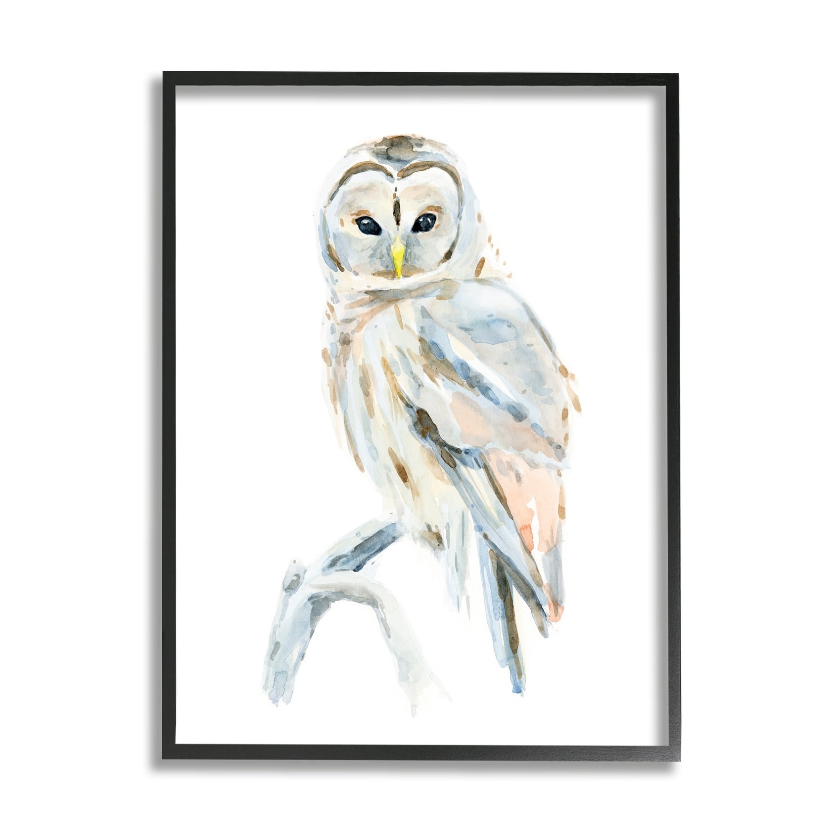 Stupell Industries Winter Artic Owl Portrait Perched on Tree Branch Black Framed, 16 x 20, Design by Annie Warren