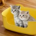 thumbnail image 2 of Btomtd Large Open Cat Litter Box, One-Piece Cat Litter Tray with Anti-Spill Rim, Practical Cat Litter Pan for All Cat Sizes, Yellow, 2 of 6