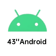 43