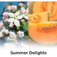 thumbnail image 3 of Air Wick Life Scents Automatic Air Freshener Spray, Summer Delights with White Flowers, Melon & Vanilla Scent, (Pack of 6), 3 of 5