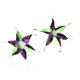 thumbnail image 1 of 2 collares delicados y hermosos para Halloween para mascotas, para fiestas, talla S (negro, verde y morado), 1 of 6