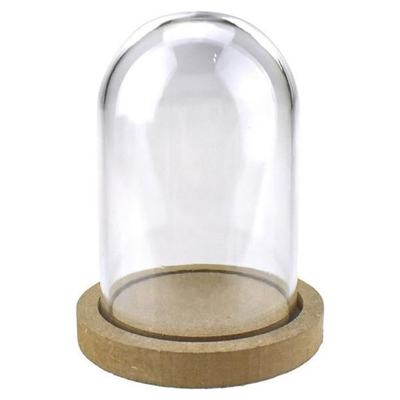 Mini Clear Plastic Display Dome with Wood Base, 5-Inch