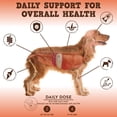 thumbnail image 2 of Jack&Pup Dog Multivitamins for Senior Dogs & Puppies, Bark Buddies Soft Chews, 120ct, 2 of 6
