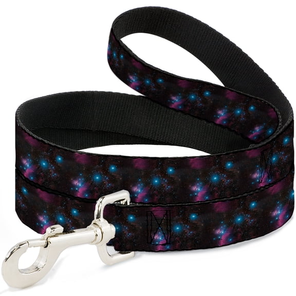 Buckle-Down Pet Leash, Dog Leash, Orions Belt Constellation, 4 Feet Long 1.0 Inch Wide