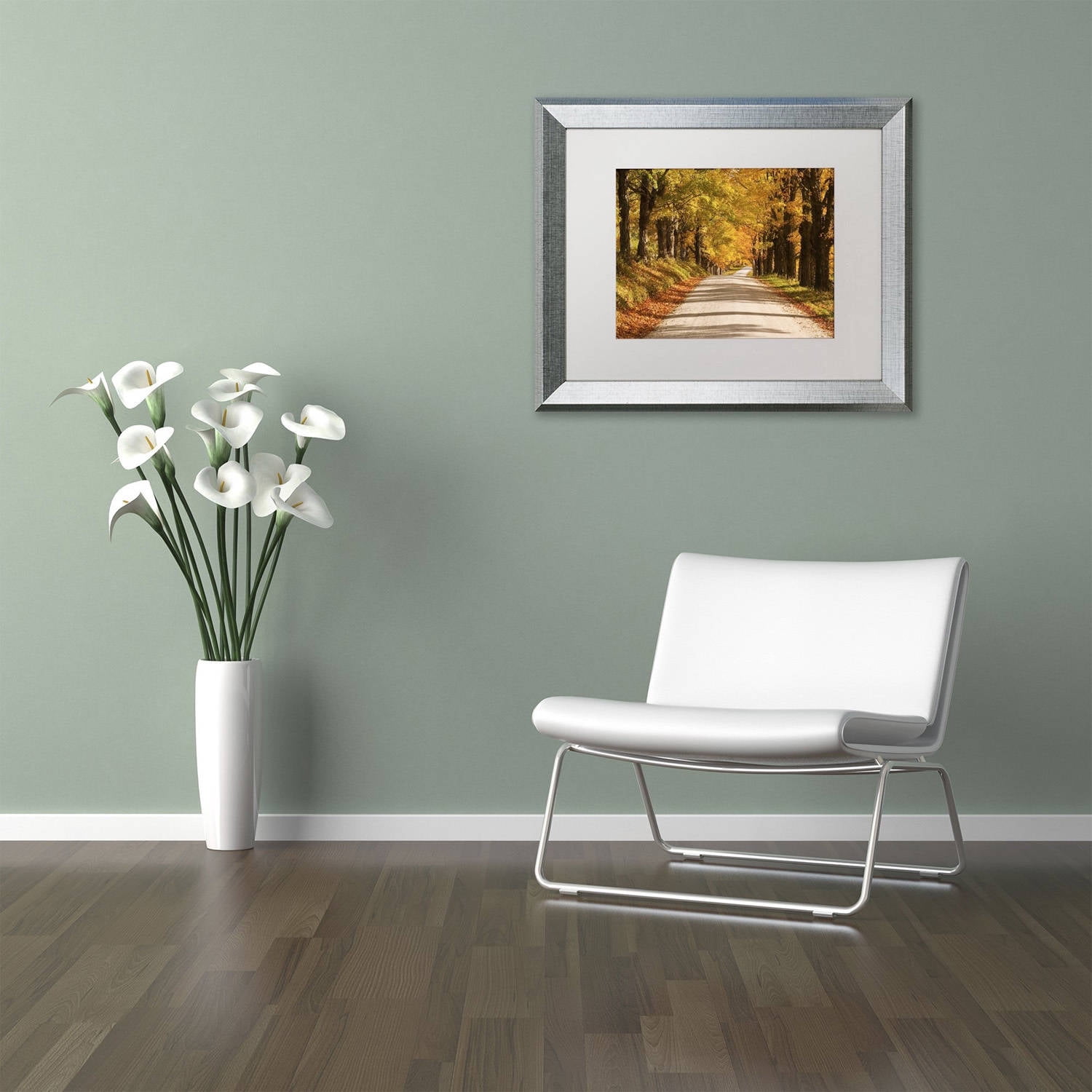 Trademark Fine Art 'Maple Canopy' Canvas Art by Michael Blanchette Photography, White Matte, Silver Frame