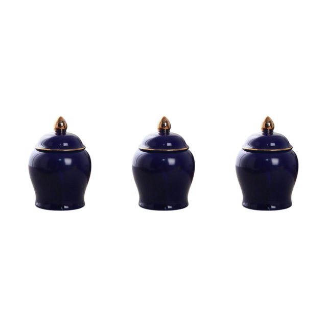 Toystoory Tarro de jengibre de cerámica, organizador de cocina resistente, cerámica sellada, ahorro de espacio para tarro de cerámica, Type1 NO1