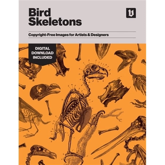 Pre-Owned Bird Skeletons: Copyright-Free Images for Artists & Designers (Paperback)