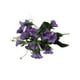 thumbnail image 1 of Advancent Flor falsa Plantas de plástico Colgante de pared Artesanía Decoraciones al aire libre Morning Glory Flores artificiales Tamaño compacto Flores artificiales Violeta Advancent HA070581-05, 1 of 6