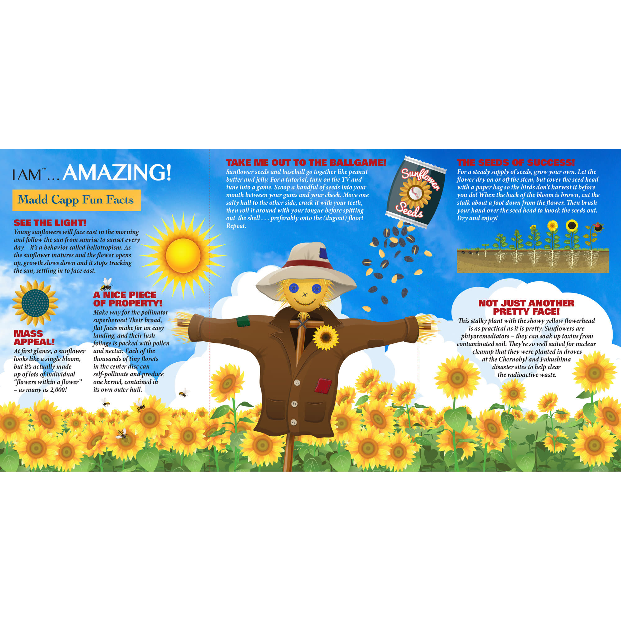 Madd Capp 350-Piece I Am Sunflower Floral Shaped Jigsaw Puzzle