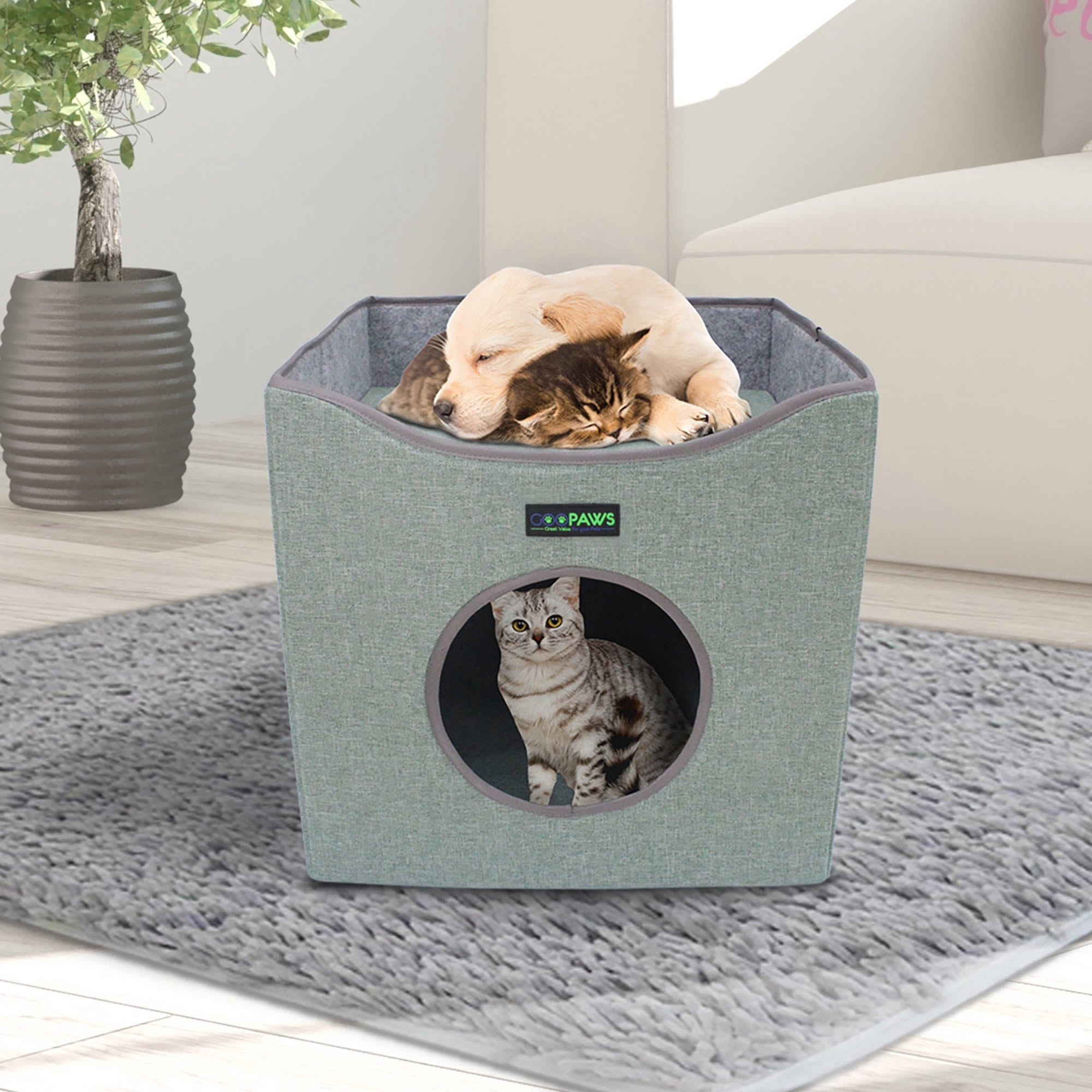JESPET & GOOPAWS: Foldable Cat Condo - Sage Green - Cube House, Sleeper Bed Cave, Top Lying Surface, 2 Reversible Cushions, Hiding Place, 15.5 x 15"