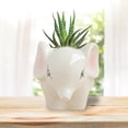 thumbnail image 1 of MesaSe Cute Succulent Planter Pots With Drainage Hole Flower Pot Cartoon Ceramic Pot, 1 of 6