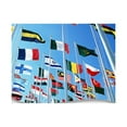 thumbnail image 3 of 90 * 150 cm flag Various countries in the world Polyester banner flag   Brazil, 3 of 3