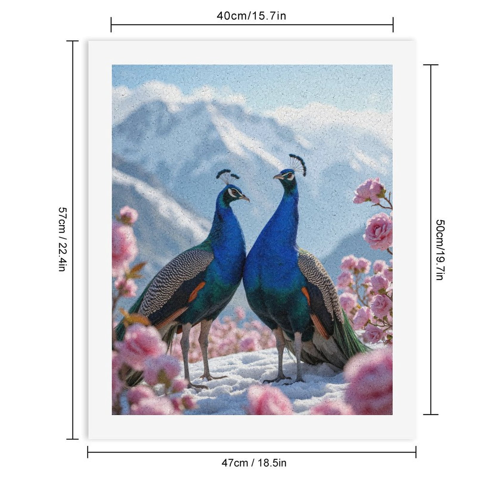 Paint by Numbers Kit for Adults, Peacocks Snowy Mountains Roses Paint by Numbers, Easy Paint by Numbers Kit for Adults Beginner, DIY Adult Paint by Number Kits on Canvas, Home Decor