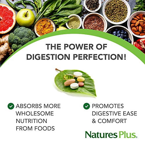 NaturesPlus GI NATURAL BI-LAYER TAB 90