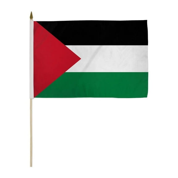 Palestine 12x18in Stick Flag