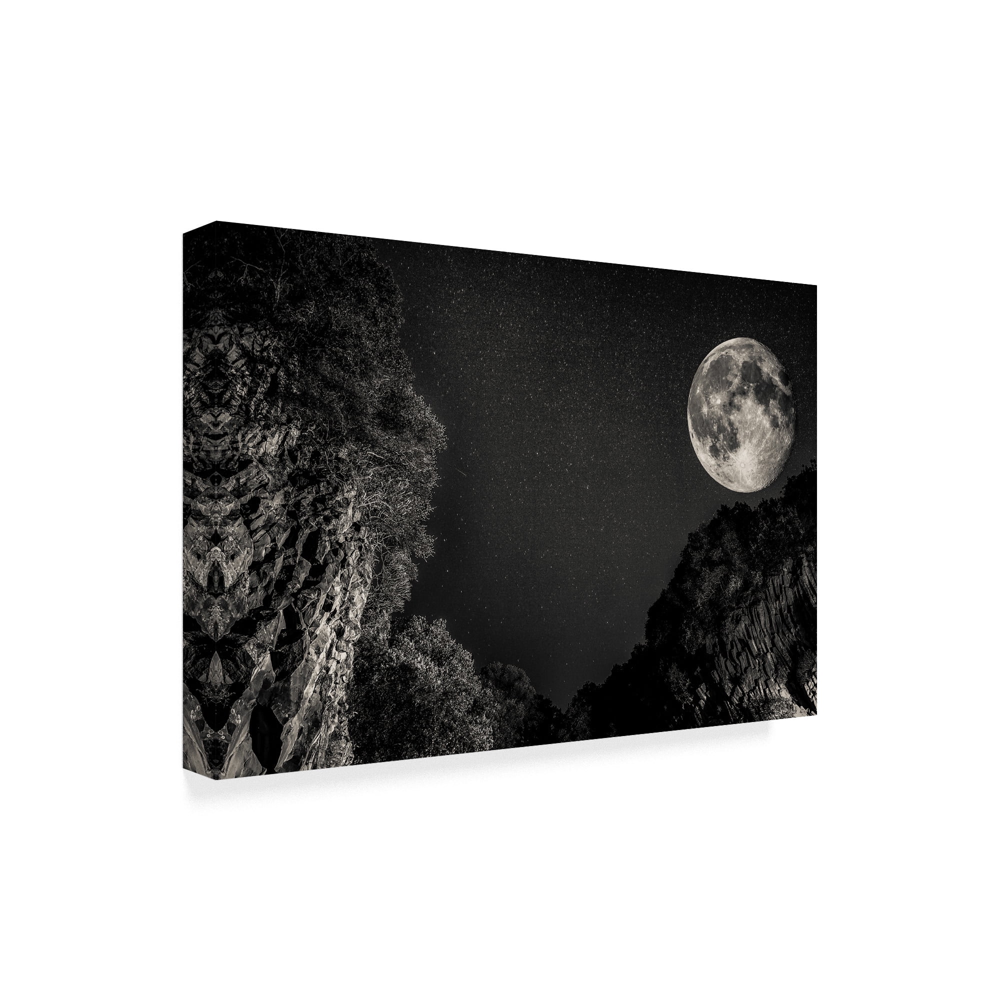 Trademark Fine Art 'Moon In Black' Canvas Art by Giuseppe Torre