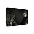 thumbnail image 2 of Trademark Fine Art 'Moon In Black' Canvas Art by Giuseppe Torre, 2 of 3
