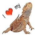 thumbnail image 2 of CafePress - I Luv My Bearded Dragon Mug - 11 oz Ceramic Mug - Novelty Coffee Tea Cup, 2 of 4